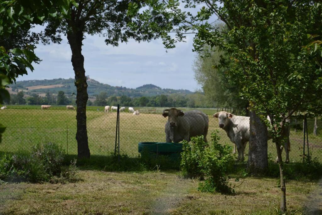 Gite A La Ferme De La Bouriette ルヴェル エクステリア 写真